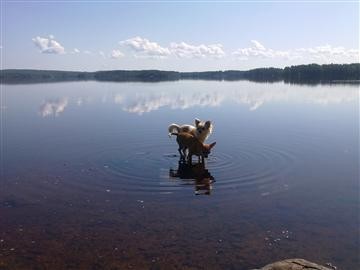 Lina_ja_Ella_jarvessa